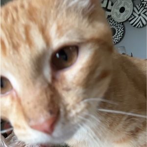 Meet your Posher, Jari